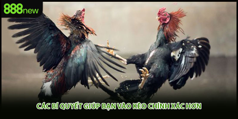 Các bí quyết giúp bạn vào kèo chính xác hơn