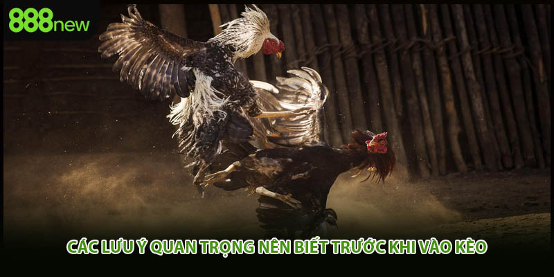 Các lưu ý quan trọng nên biết trước khi vào kèo