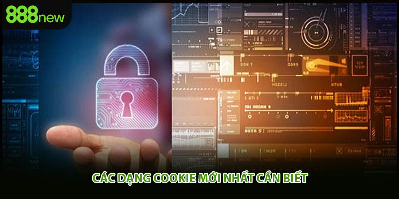 Cách quản lý cookie năm 2025 cho tân binh