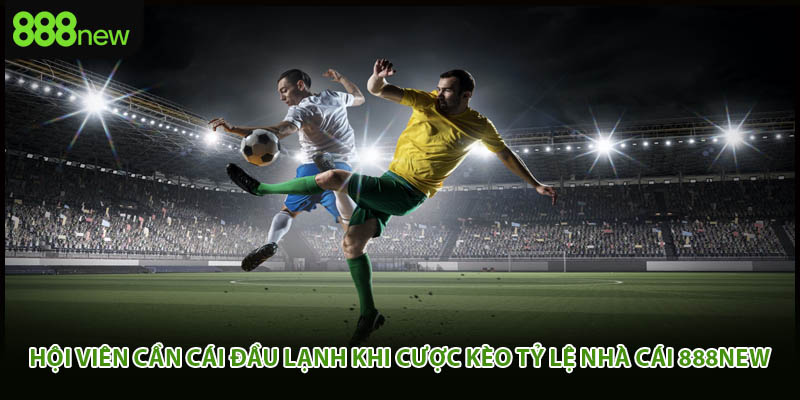 Hội viên cần cái đầu lạnh khi cược kèo tỷ lệ nhà cái 888new