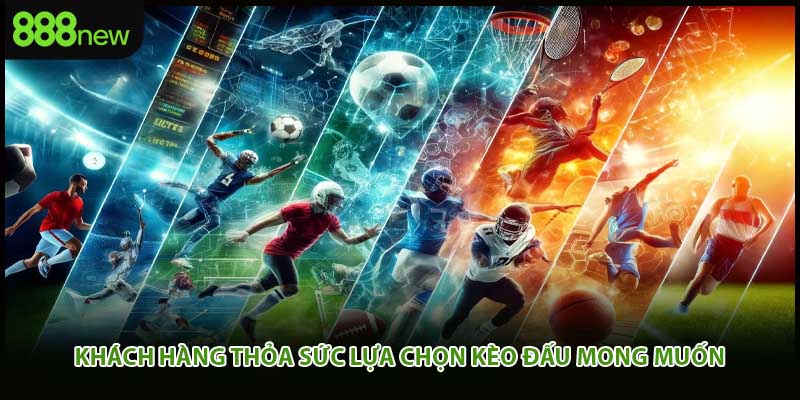 Khách hàng thỏa sức lựa chọn kèo đấu mong muốn