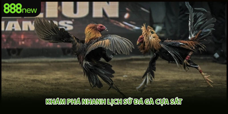 Khám phá nhanh lịch sử đá gà cựa sắt