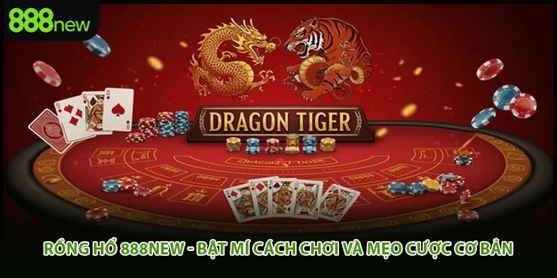 Rồng Hổ 888new - Bật Mí Cách Chơi Và Mẹo Cược Cơ Bản